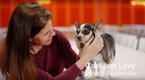 Dogs "should be welcomed everywhere" -Carolynn Levy, Partner at Y Combinator