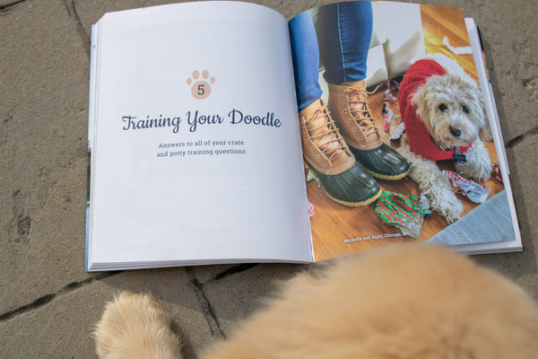 Enhancing Dog Health & Wellness: We are Partnering with At Attention Dog Training to Educate Dog Parents!