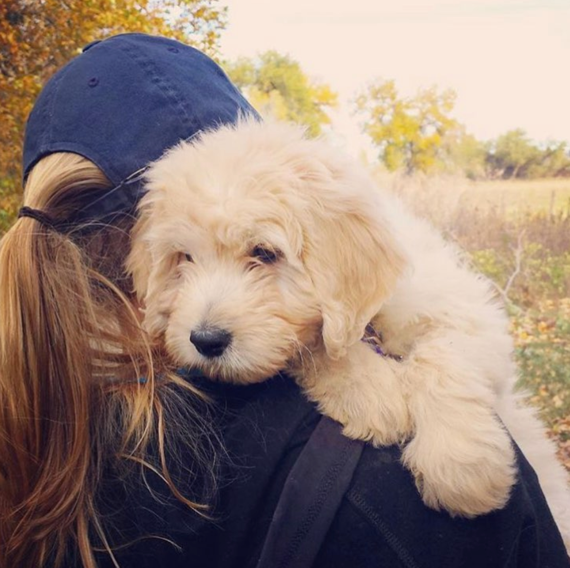"Dogs just make life more enjoyable.”